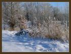 «Зимний пейзаж» — претендующее
• Жанр: пейзаж 
• Автор: Alexandr Janjushkin (28) 
• (Дополнительной информации нет.) 
• Просмотры: 2699 
• Комментарии: 0 
• Оценка: 0 (оценивали: 0)